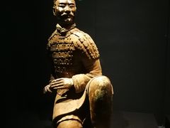 -陕西历史博物馆