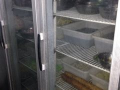 iphone_upload_pic-满天星太珍火锅