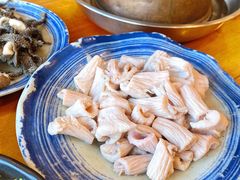 羊肚仁-金生隆(六铺炕店)