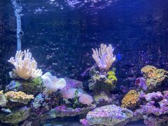 -石林冰雪海洋世界