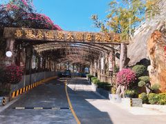 -喜运来大酒店温泉