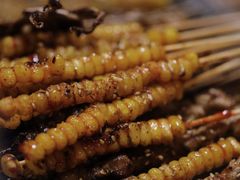 -勃利地摊·勃立小串烧烤