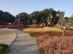 -文华公园(禅城区)