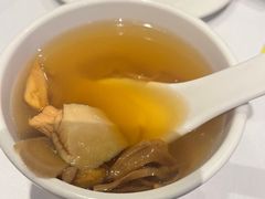 -食为先(Shark Fin)