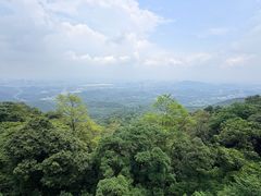 -黄埔油麻山森林公园