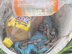 -北海金海湾红树林生态旅游区