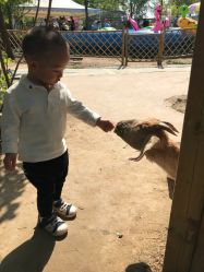 -萌宠亲子动物乐园(槐房万达店)