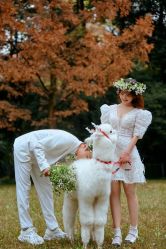 -黑马婚纱摄影