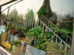 -隹木咖啡馆(宝龙广场店)