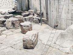 -无锡动物园·太湖欢乐园