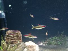 -皇家极地海洋世界-售票处