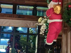 -一棵树·意大利西餐厅One Tree(新城店)