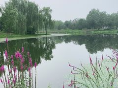-东郊湿地公园