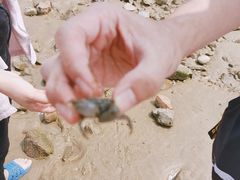 -嵊泗基湖沙滩