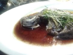 清蒸多宝鱼-蔡府家宴(699店)