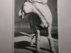 -中国版画博物馆