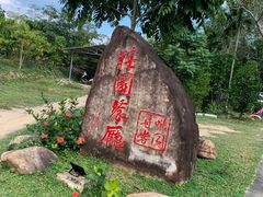 -兴隆隆苑咖啡庄园