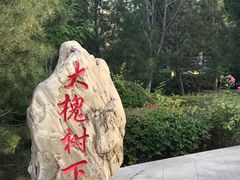 -大槐树寻根祭祖园