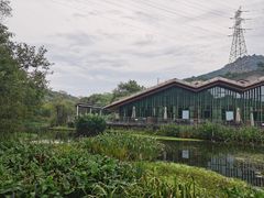 -西湖风景区-江洋畈生态公园