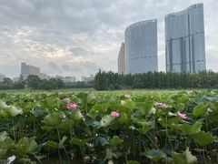 -艾溪湖湿地公园