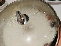 -洪氏嗨捞·猪肚鸡火锅(阳光天地店)