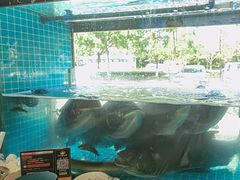 -浔味·山屿湖·正宗淳牌全鱼宴老字号