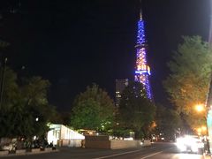 -札幌电视塔