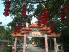 -广州市流溪河国家森林公园