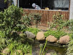 -凤凰山斑鱼馆(恭城店)