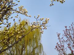 -西海子公园