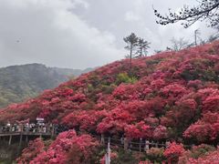 -木兰云雾山