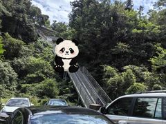 -碧峰峡风景区