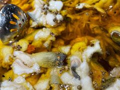 水煮乌江鱼-雲蜀龙阁·金牌水煮鱼(方庄店)