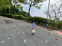 -火炉山森林公园