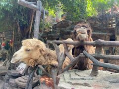 -长鹿旅游休博园