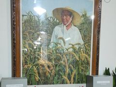 -人民公社大食堂(顺义总店)