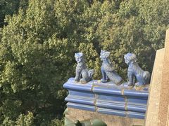 -灵谷景区