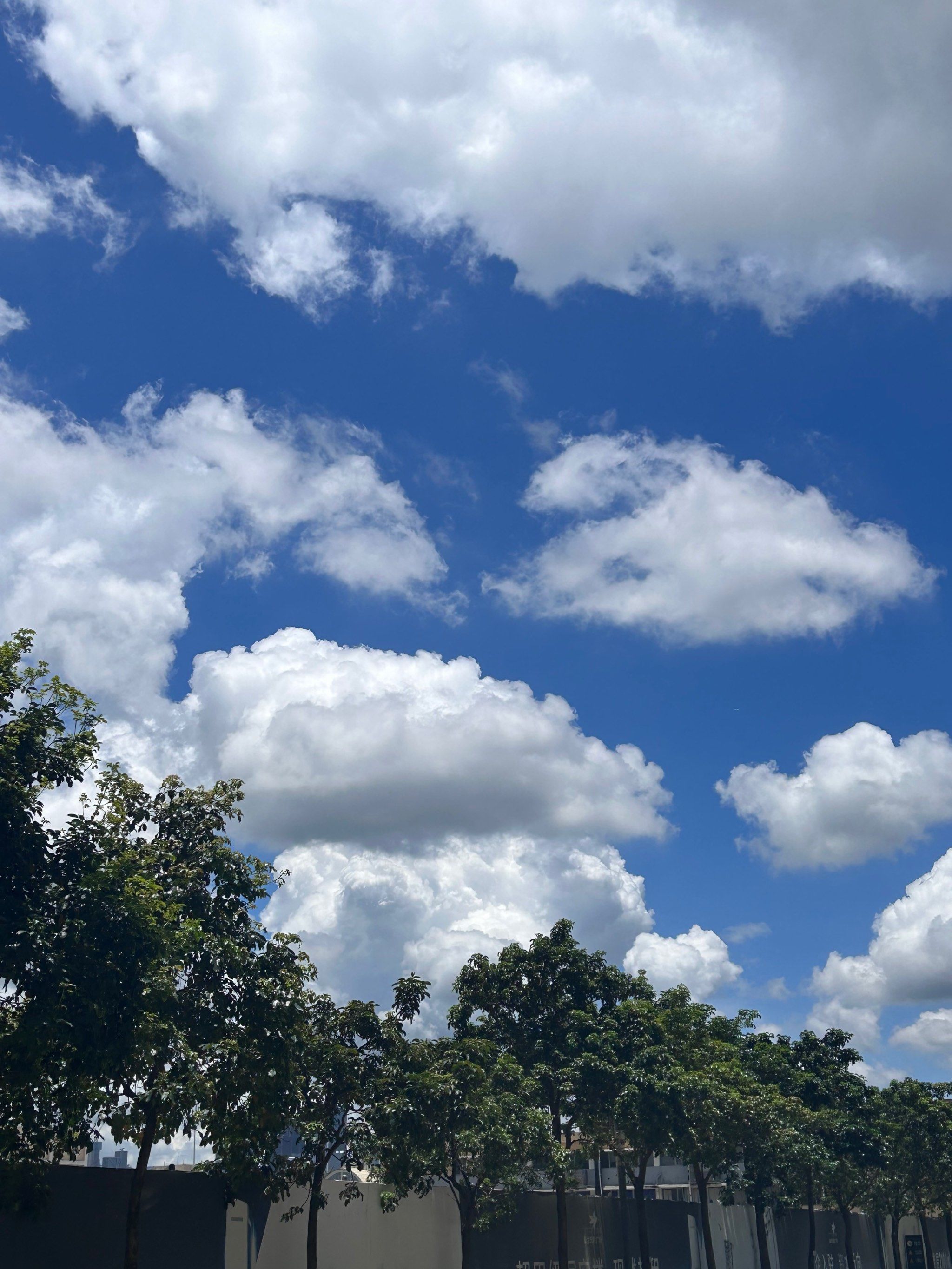 云朵天气 云朵天气