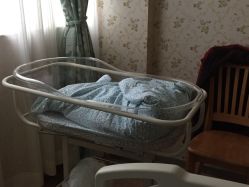 -上海市长宁区妇幼保健院