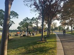 -梁子湖东篱老屋生态庄园