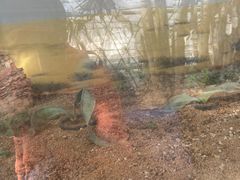 -北京植物园-展览温室