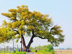 -乌龙涧铁道铁轨景
