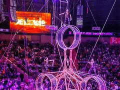 -俄罗斯国家大马戏团