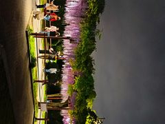 -嘉定紫藤园