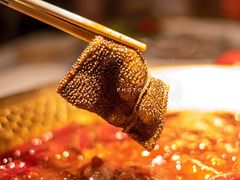小龙坎毛肚-小龙坎火锅(IFS HOT店)