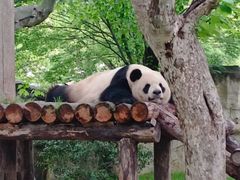-上海野生动物园