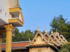 -报恩禅寺