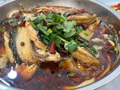 -风鑫铃罗非鱼(道沟店)