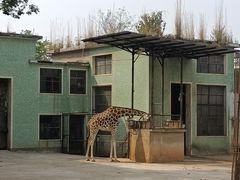 -昆明动物园