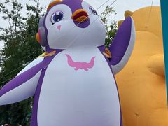 -海合安成都极地海洋公园